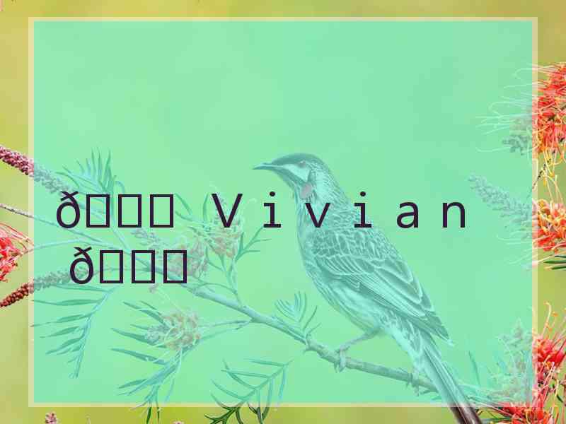 🎀 Vivian 🎀 🎀 Vivian 🎀