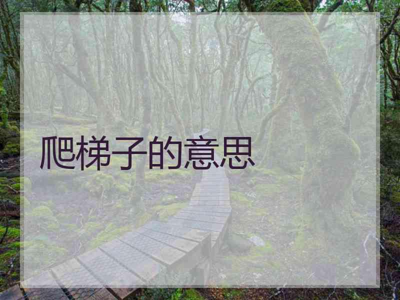 爬梯子的意思 爬梯子的意思