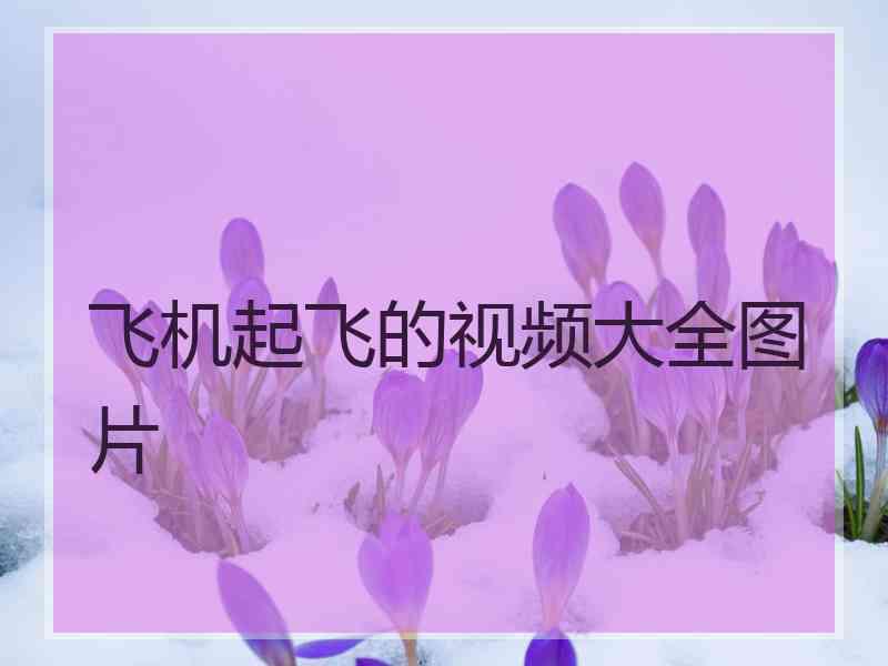 飞机起飞的视频大全图片 飞机起飞的视频大全图片