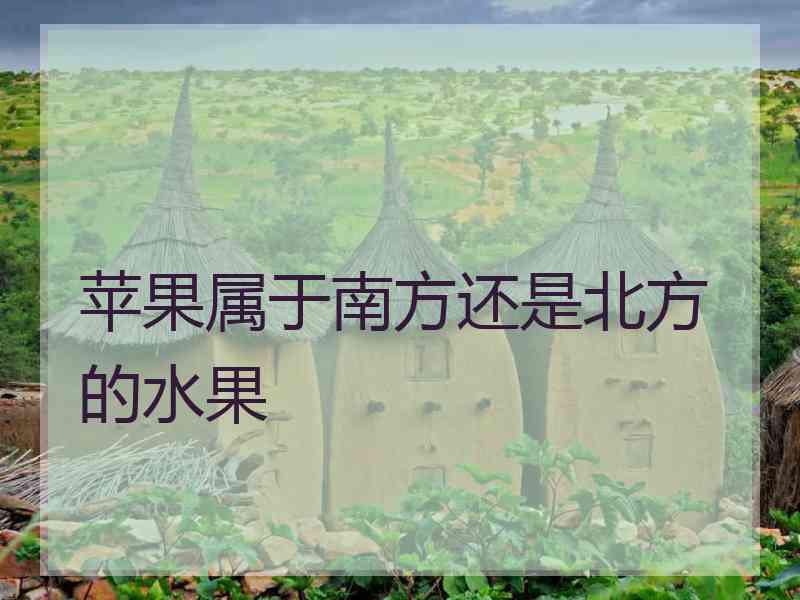苹果属于南方还是北方的水果 苹果属于南方还是北方的水果