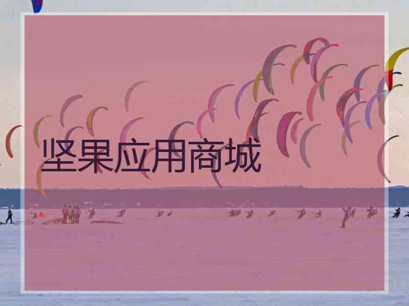 坚果应用商城 坚果应用商城