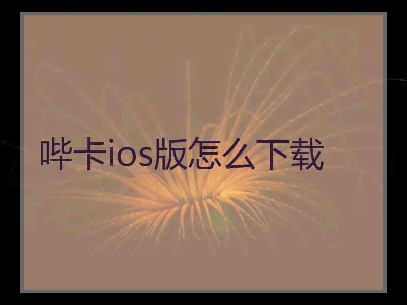 哔卡ios版怎么下载 哔卡ios版怎么下载