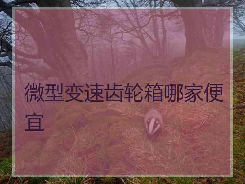微型变速齿轮箱哪家便宜 微型变速齿轮箱哪家便宜