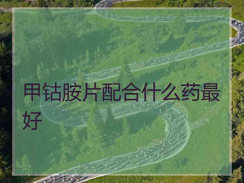 甲钴胺片配合什么药最好 甲钴胺片配合什么药最好