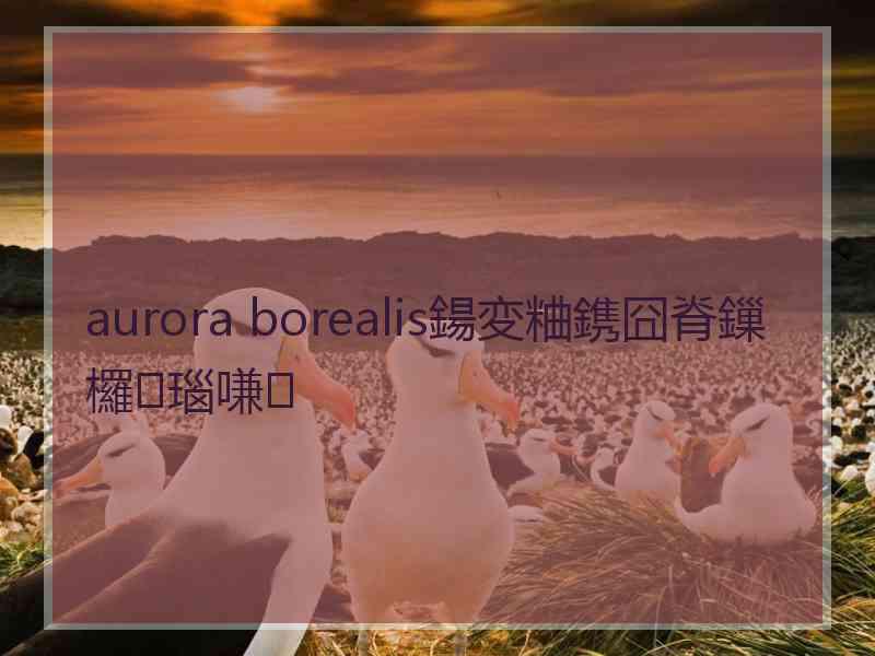 aurora borealis鍚変粬鎸囧脊鏁欏瑙嗛 aurora borealis鍚変粬鎸囧脊鏁欏瑙嗛