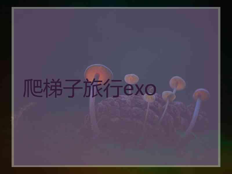 爬梯子旅行exo 爬梯子旅行exo