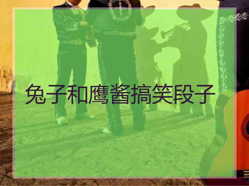 兔子和鹰酱搞笑段子 兔子和鹰酱搞笑段子