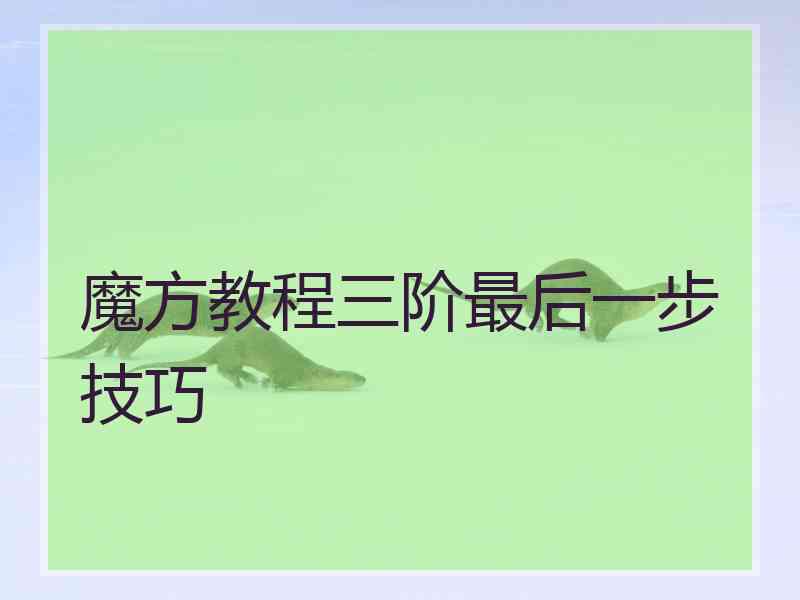 魔方教程三阶最后一步技巧 魔方教程三阶最后一步技巧