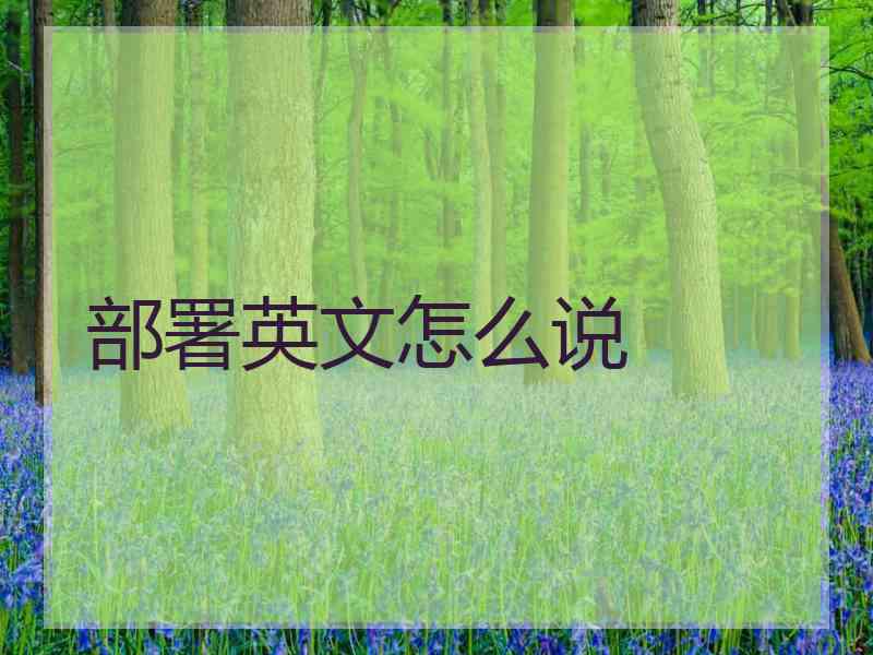 部署英文怎么说 部署英文怎么说
