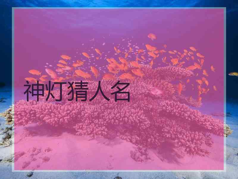 神灯猜人名 神灯猜人名