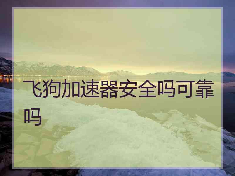 飞狗加速器安全吗可靠吗 飞狗加速器安全吗可靠吗