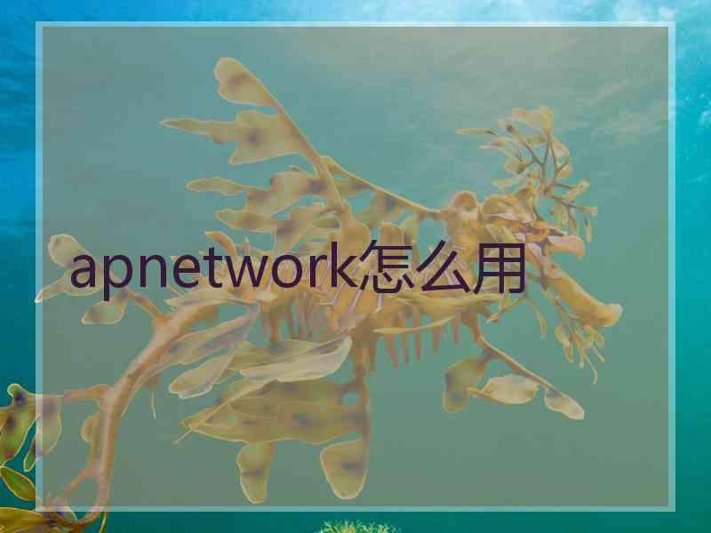 apnetwork怎么用 apnetwork怎么用