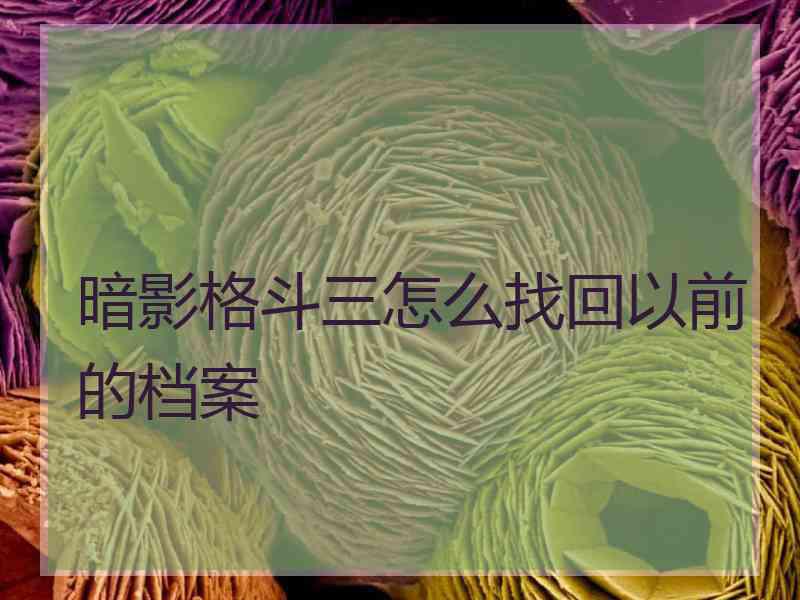 暗影格斗三怎么找回以前的档案 暗影格斗三怎么找回以前的档案