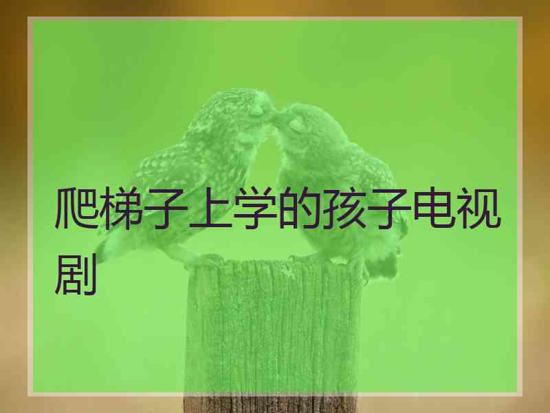 爬梯子上学的孩子电视剧 爬梯子上学的孩子电视剧