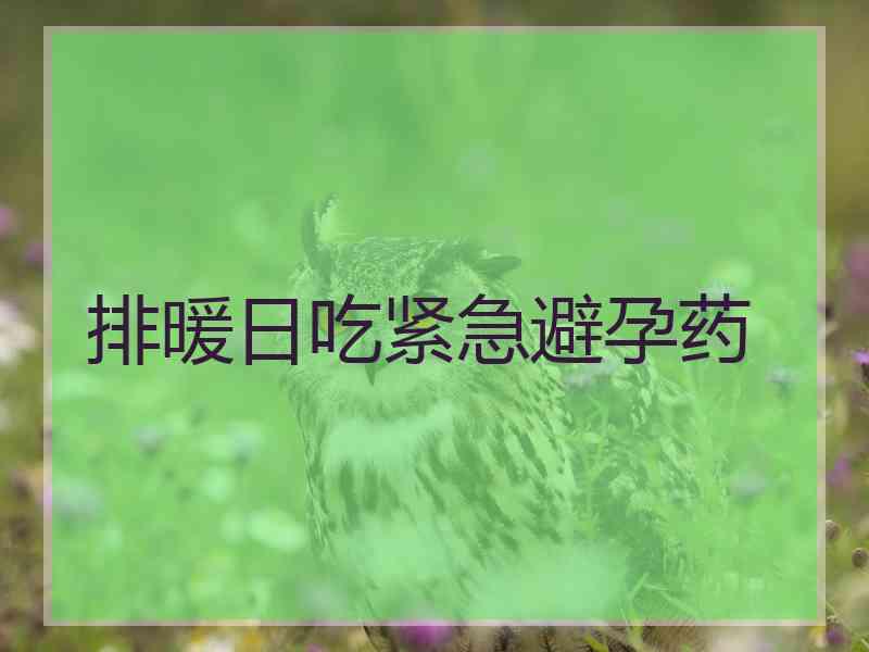 排暖日吃紧急避孕药 排暖日吃紧急避孕药