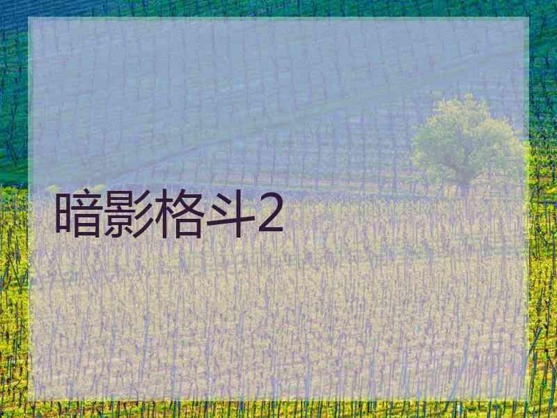 暗影格斗2 暗影格斗2