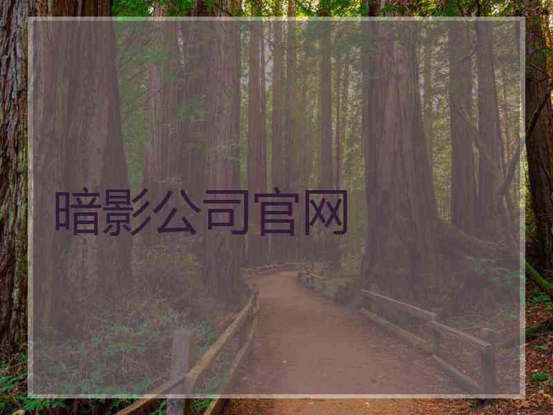 暗影公司官网 暗影公司官网