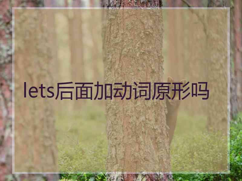 lets后面加动词原形吗 lets后面加动词原形吗