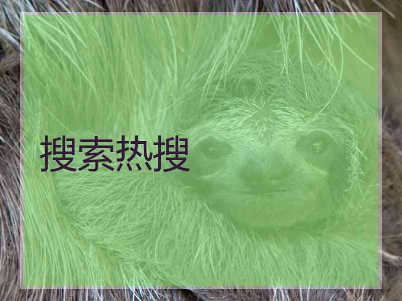 搜索热搜 搜索热搜