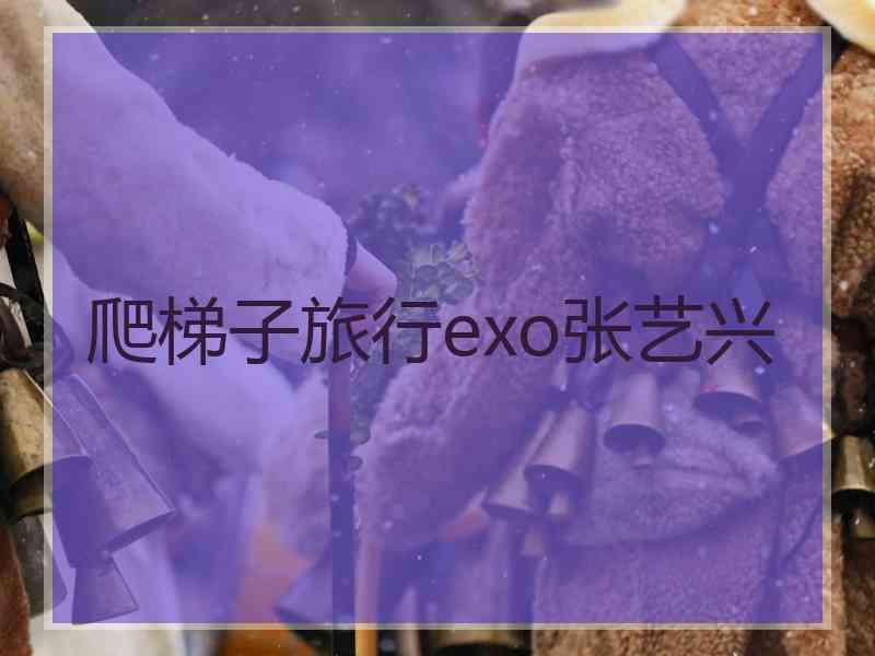 爬梯子旅行exo张艺兴 爬梯子旅行exo张艺兴