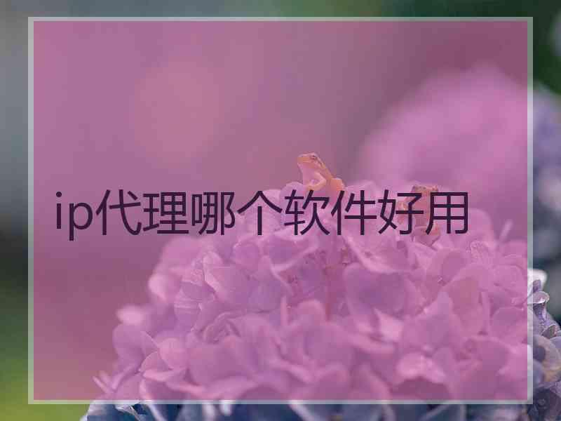 ip代理哪个软件好用 ip代理哪个软件好用