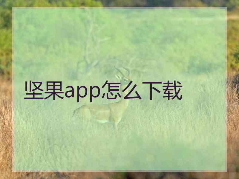 坚果app怎么下载 坚果app怎么下载