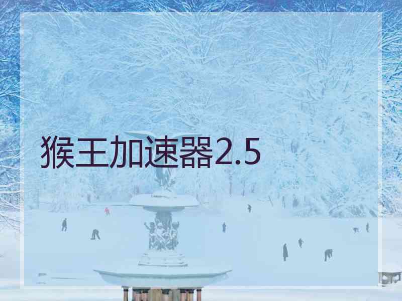 猴王加速器2.5 猴王加速器2.5