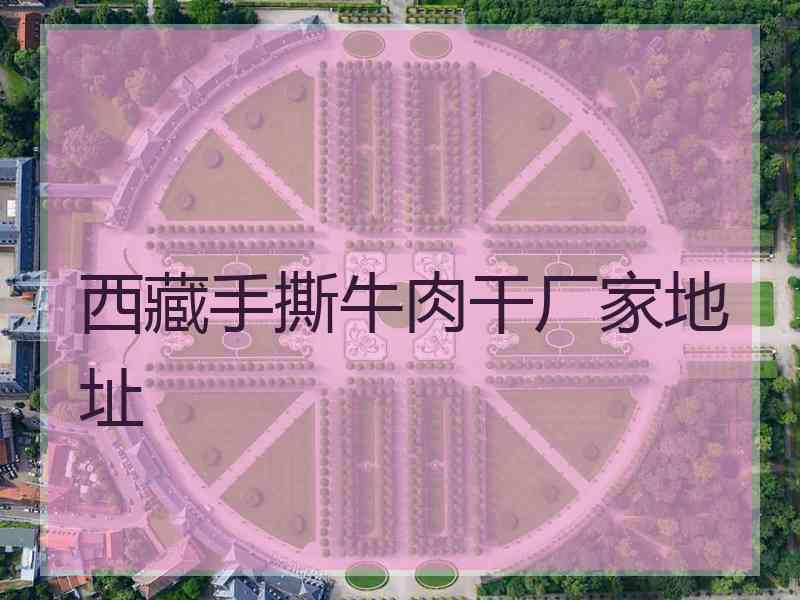 西藏手撕牛肉干厂家地址 西藏手撕牛肉干厂家地址