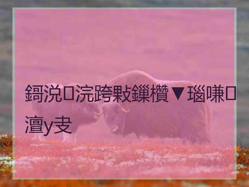鎶涚浣跨敤鏁欑▼瑙嗛澶у叏 鎶涚浣跨敤鏁欑▼瑙嗛澶у叏
