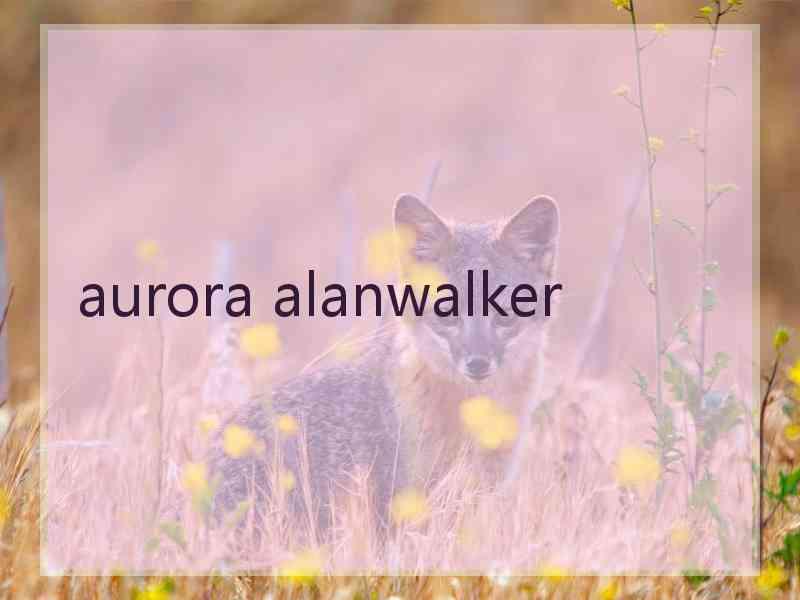 aurora alanwalker aurora alanwalker