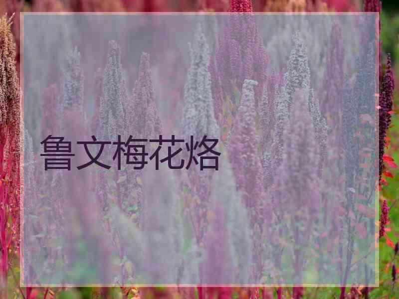 鲁文梅花烙 鲁文梅花烙