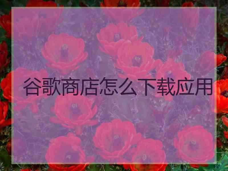 谷歌商店怎么下载应用 谷歌商店怎么下载应用