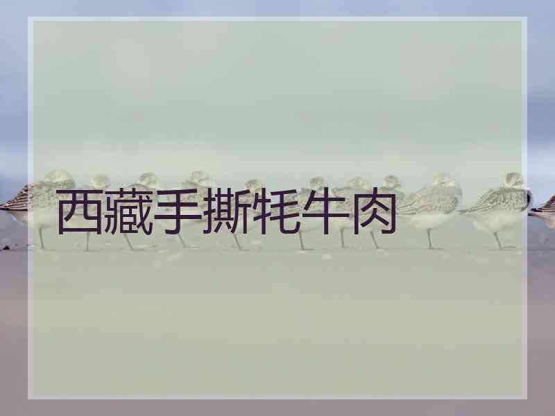西藏手撕牦牛肉 西藏手撕牦牛肉