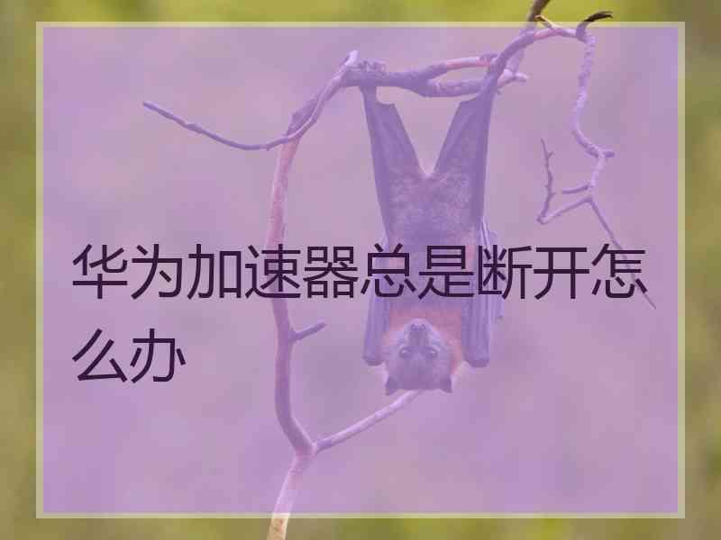 华为加速器总是断开怎么办 华为加速器总是断开怎么办