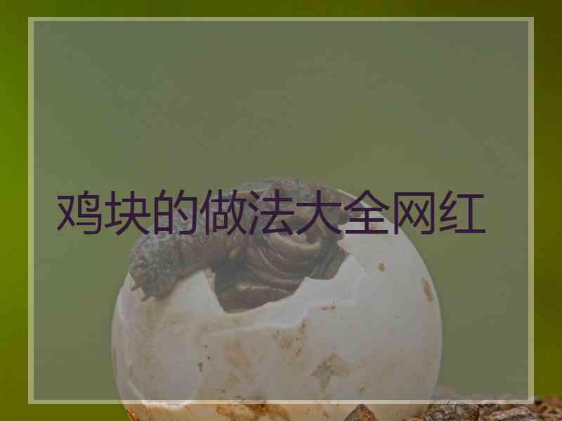 鸡块的做法大全网红 鸡块的做法大全网红