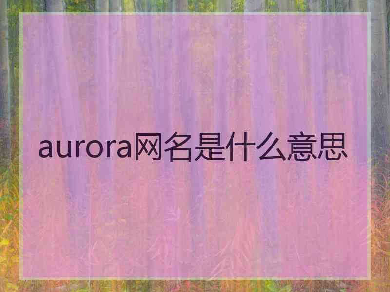 aurora网名是什么意思 aurora网名是什么意思
