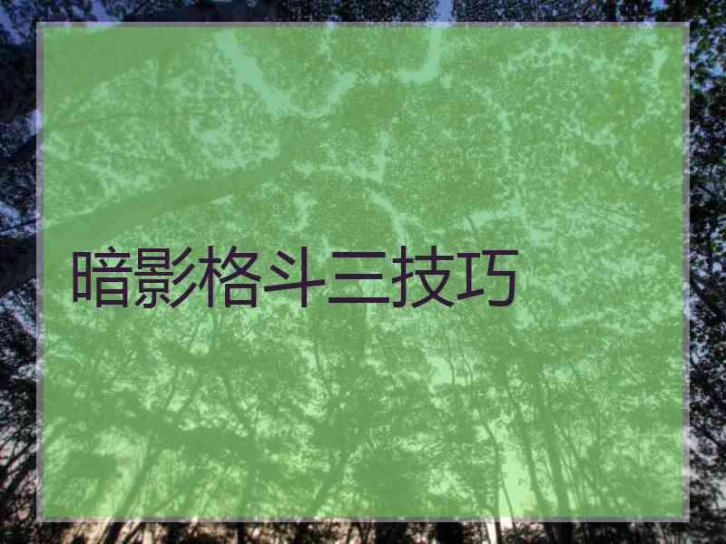 暗影格斗三技巧 暗影格斗三技巧