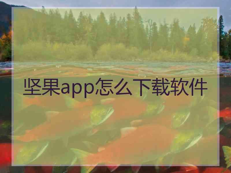 坚果app怎么下载软件 坚果app怎么下载软件