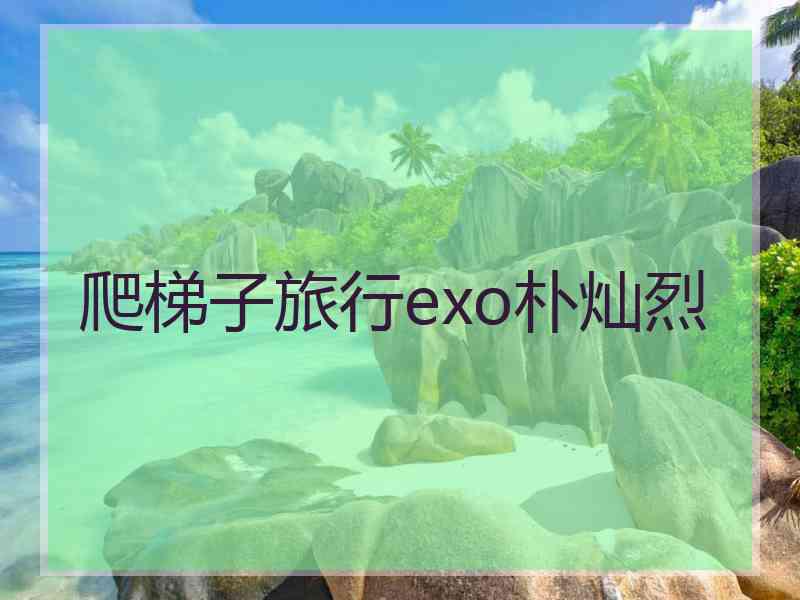 爬梯子旅行exo朴灿烈 爬梯子旅行exo朴灿烈