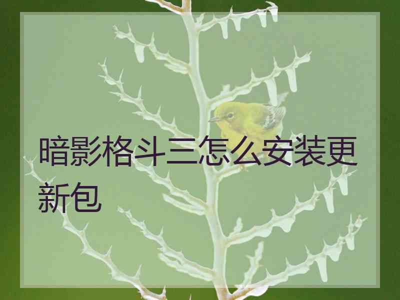 暗影格斗三怎么安装更新包 暗影格斗三怎么安装更新包