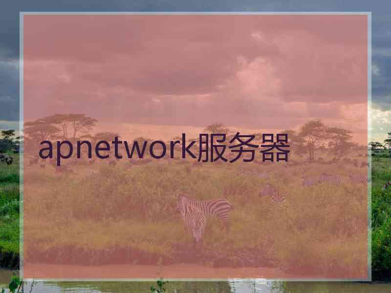 apnetwork服务器 apnetwork服务器