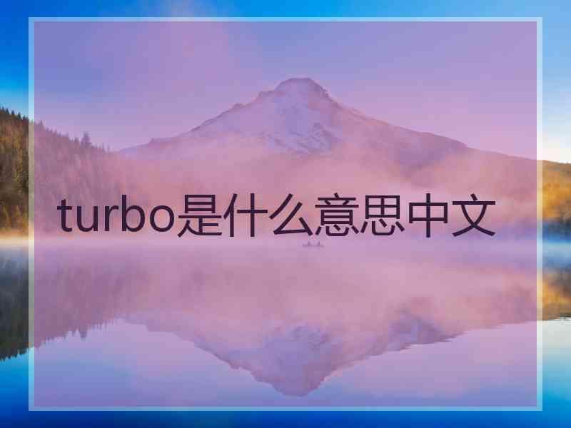 turbo是什么意思中文 turbo是什么意思中文