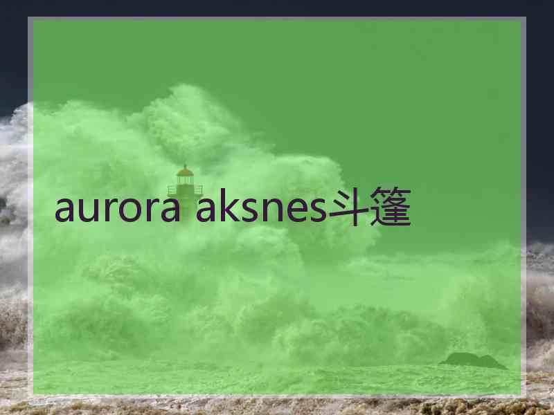 aurora aksnes斗篷 aurora aksnes斗篷