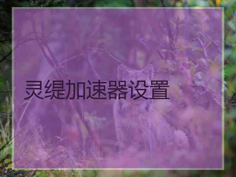 灵缇加速器设置 灵缇加速器设置