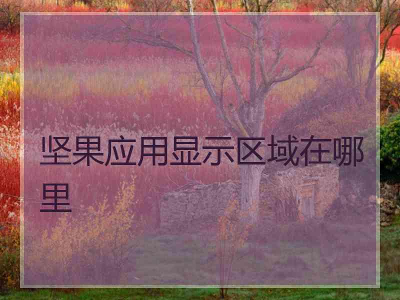 坚果应用显示区域在哪里 坚果应用显示区域在哪里