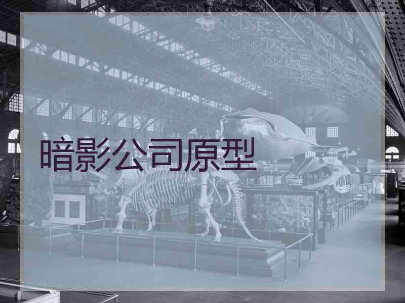 暗影公司原型 暗影公司原型