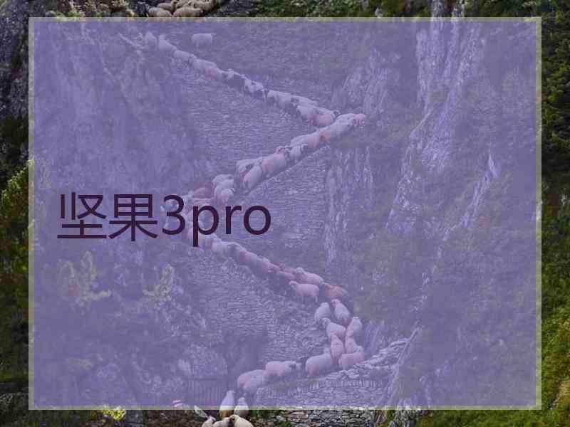 坚果3pro 坚果3pro