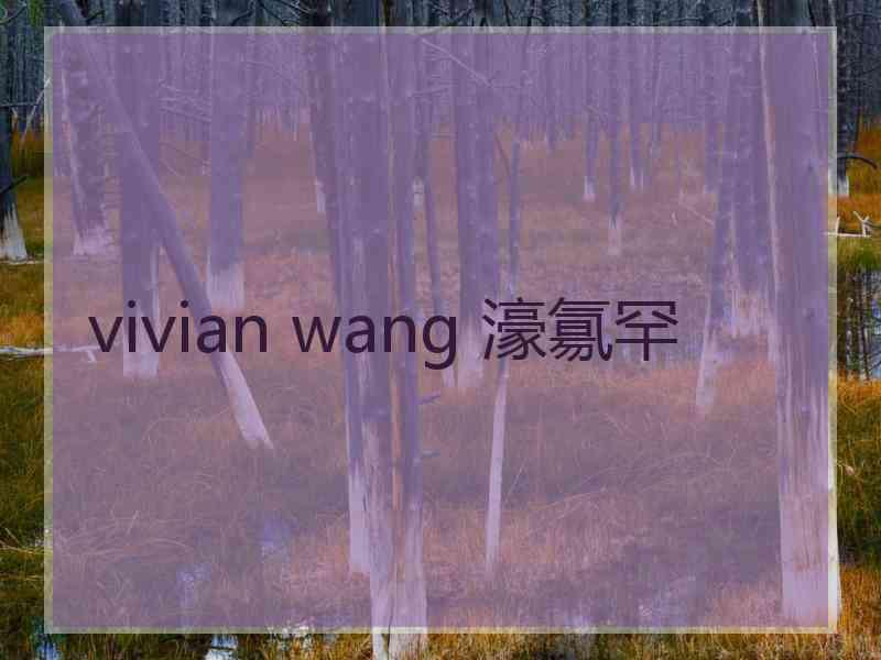 vivian wang 濠氱罕 vivian wang 濠氱罕