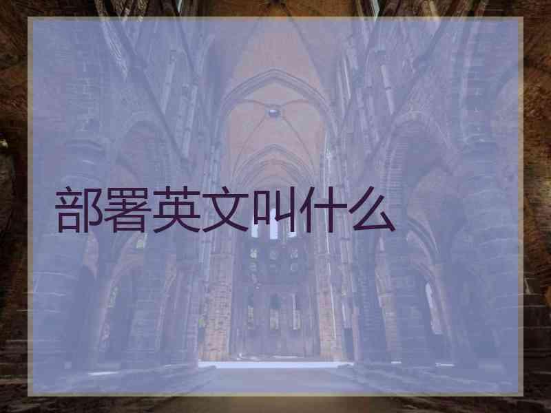 部署英文叫什么 部署英文叫什么