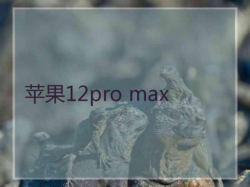 苹果12pro max 苹果12pro max